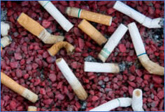 A Tale of Two Smokers